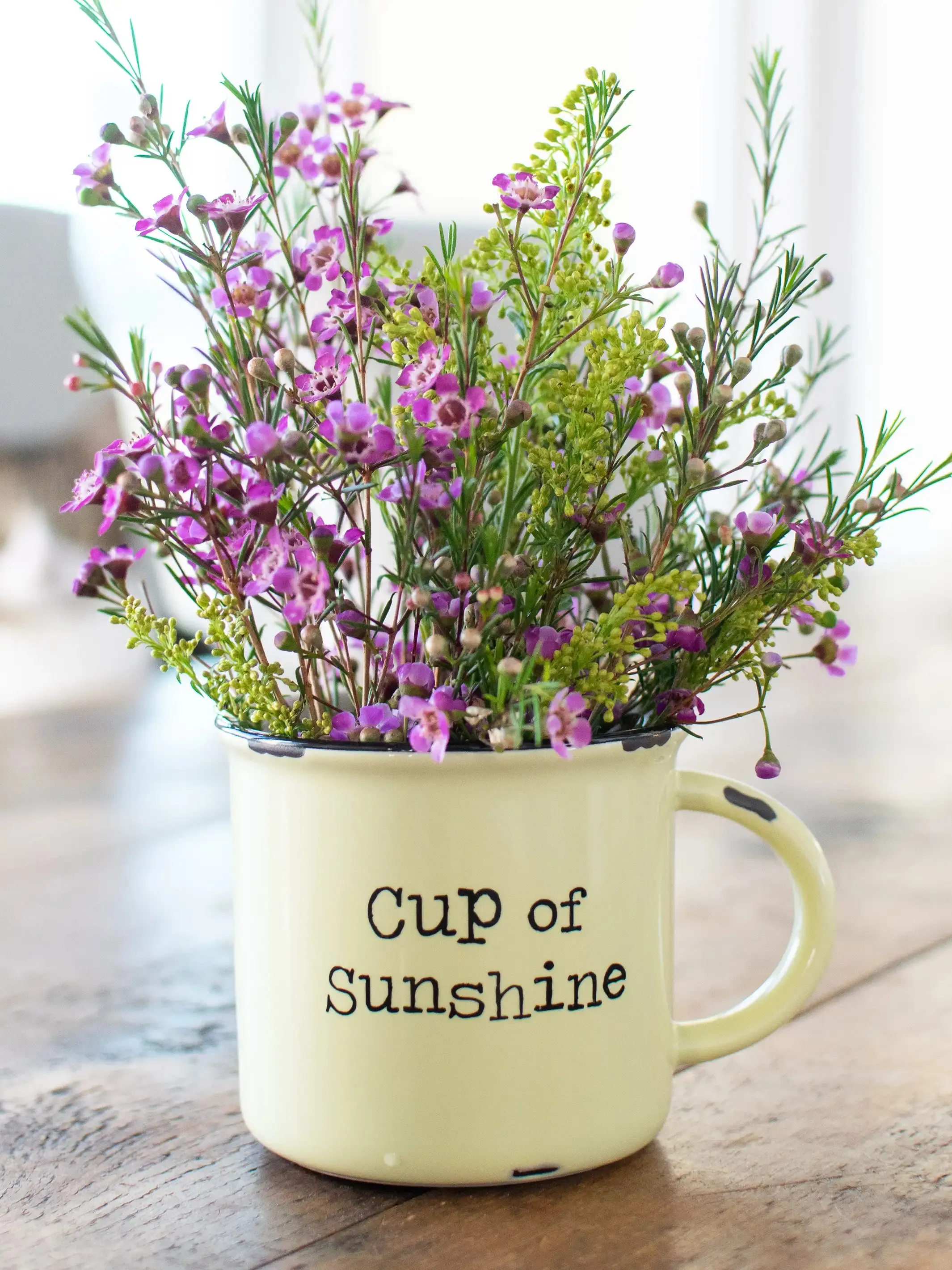 Classic Camp Coffee Mug - Cup of Sunshine