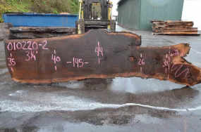 Oregon Black Walnut Slab 010220-02