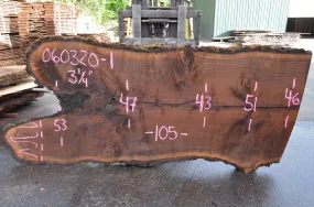 Oregon Black Walnut Slab 060320-01