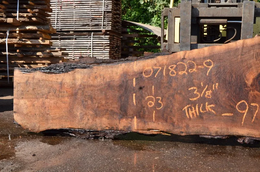 Oregon Black Walnut Slab 071822-09