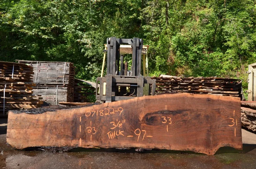 Oregon Black Walnut Slab 071822-09