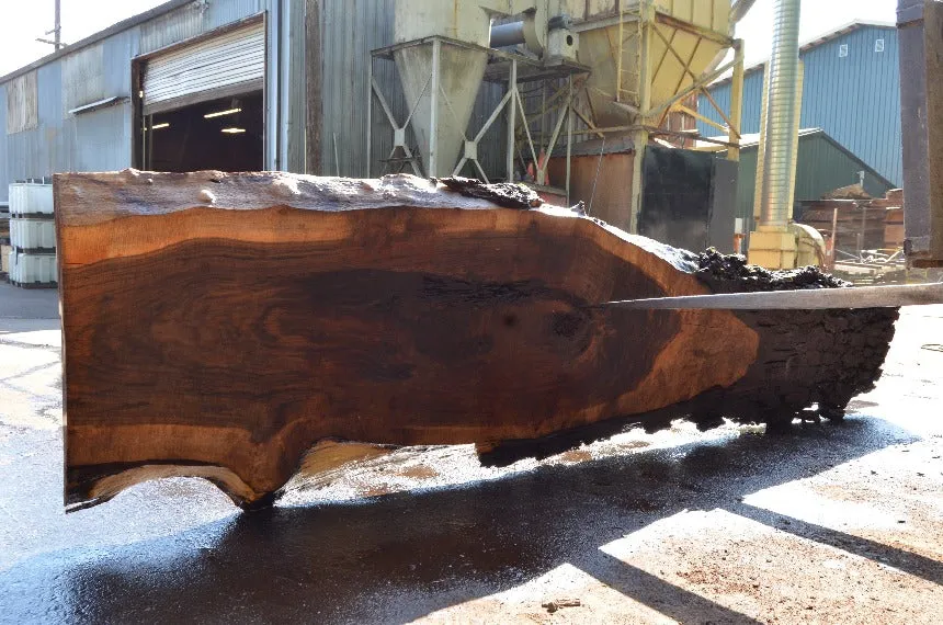 Oregon Black Walnut Slab 071822-09